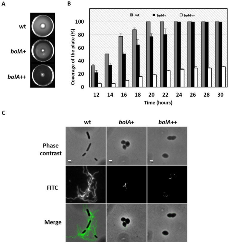 FIG 2 