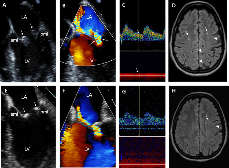 Fig 6