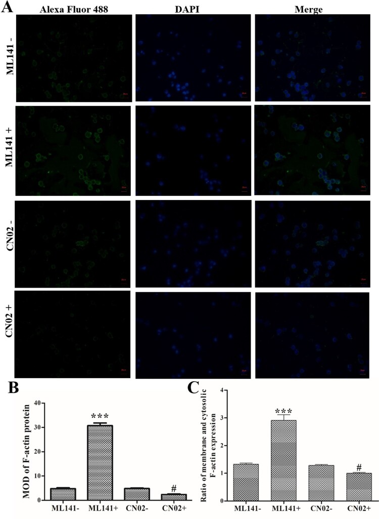 Figure 4.