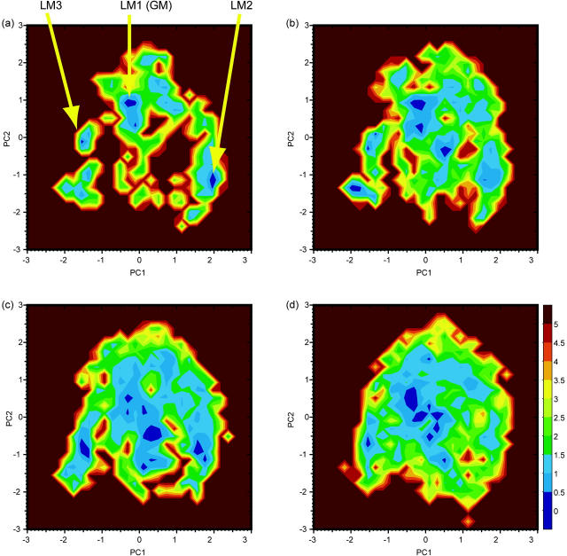 FIGURE 5