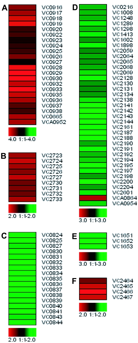 FIG. 4.