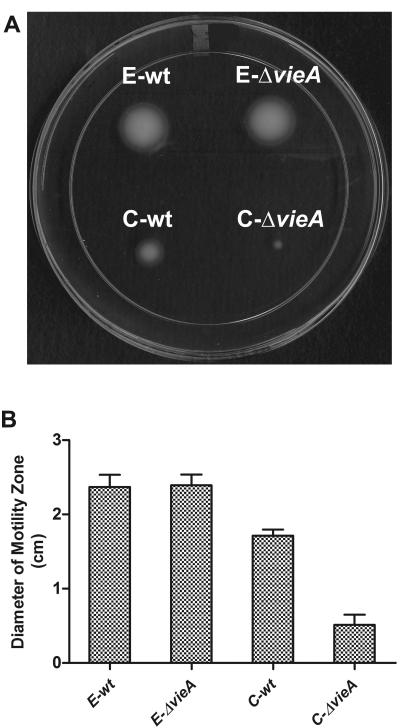 FIG. 5.