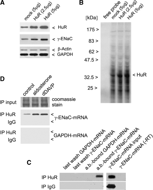 Figure 10.