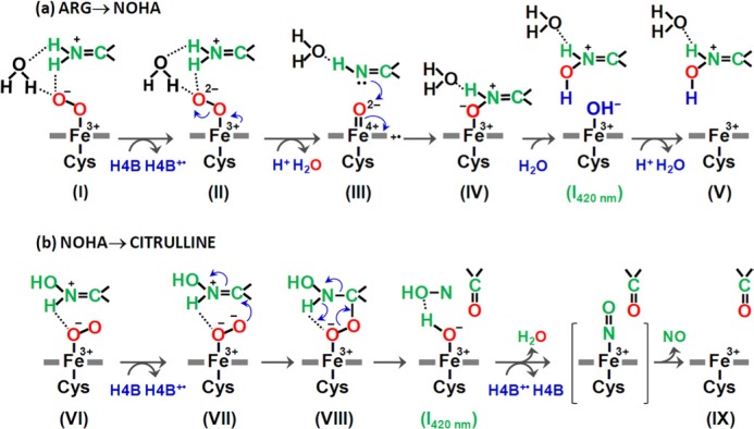 FIGURE 11.