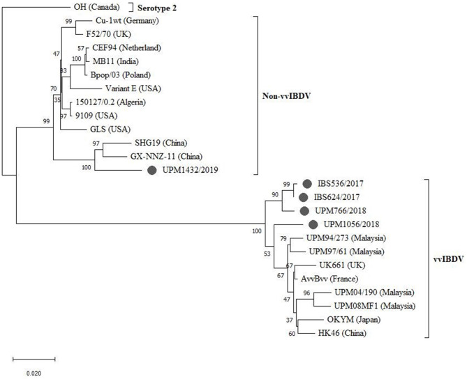 Figure 4