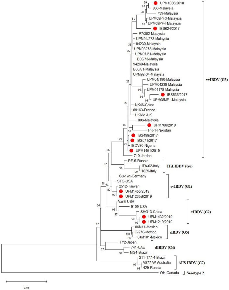 Figure 2