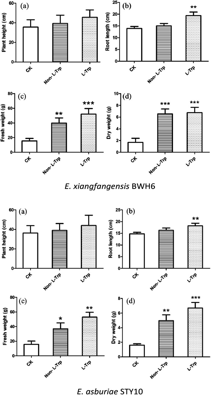 Fig. 10