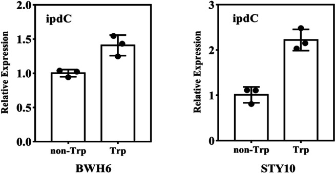 Fig. 6