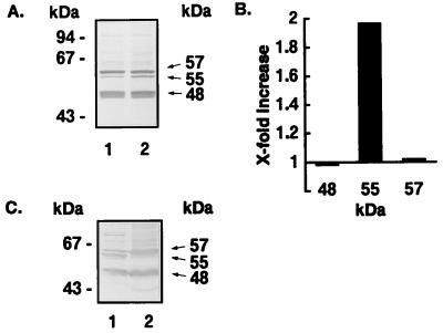 FIG. 6