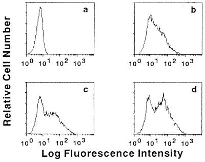 FIG. 5