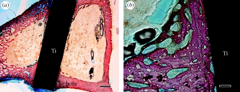 Figure 12.