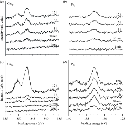 Figure 10.