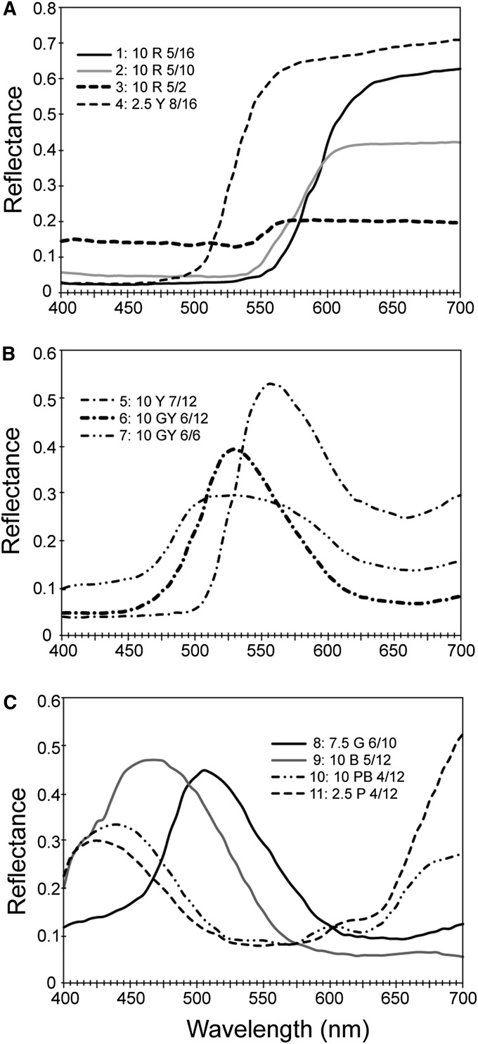 Fig. 1.