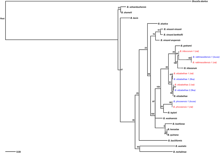 Fig. 3