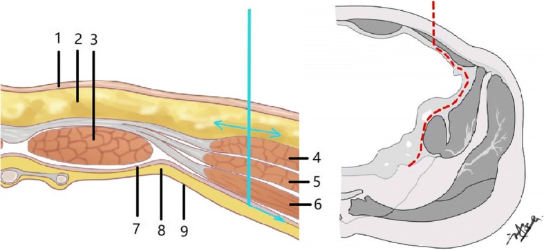 Fig. 3