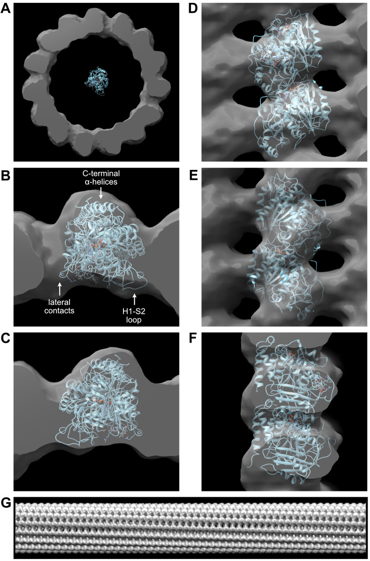 Figure 10.