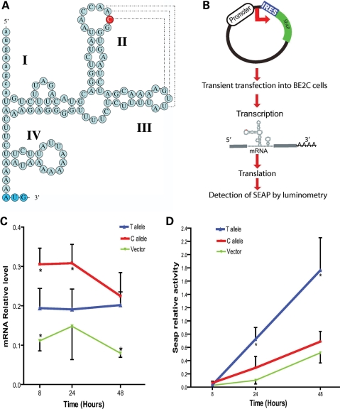 Figure 3.