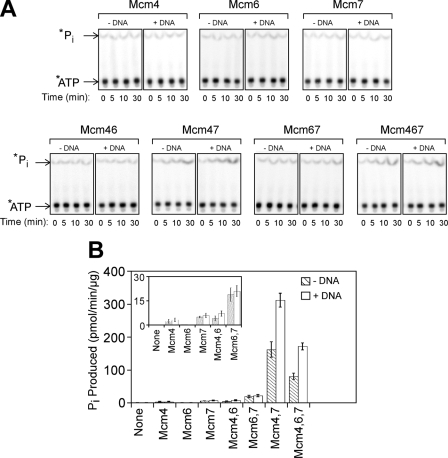 FIGURE 5.