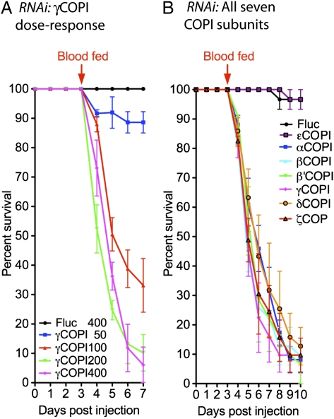 Fig. P1.