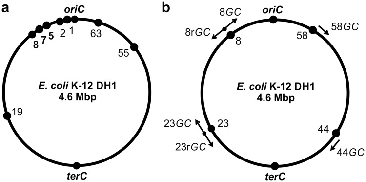 Fig 4