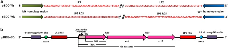 Fig 2