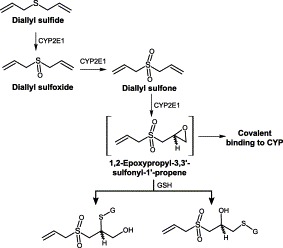 Fig. 11