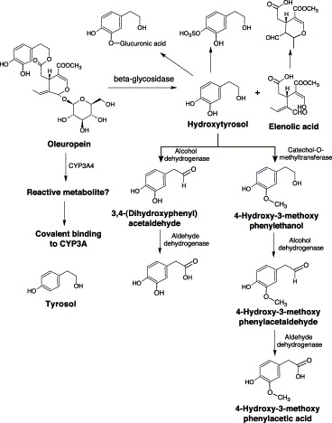 Fig. 10