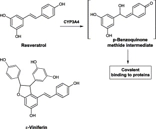 Fig. 12