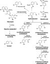 Fig. 10