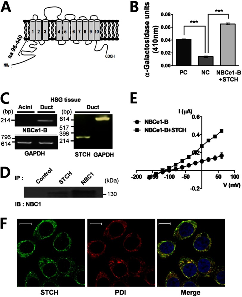 FIGURE 1.