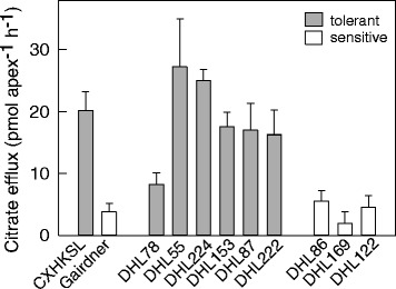 Fig. 9