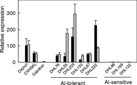 Fig. 10