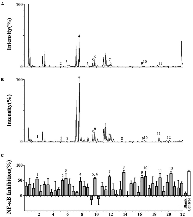 FIGURE 1