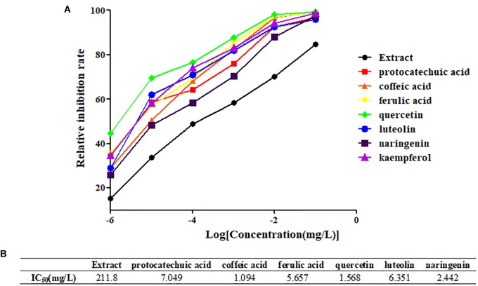 FIGURE 4