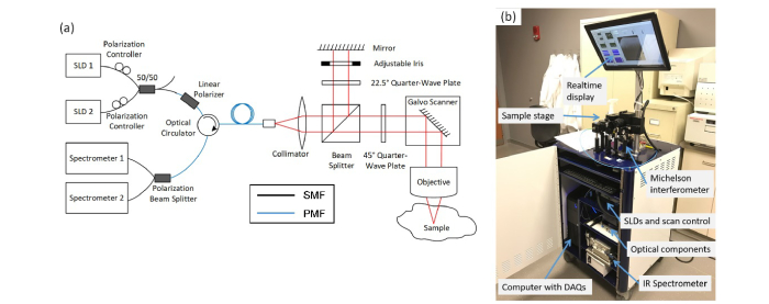 Fig. 1