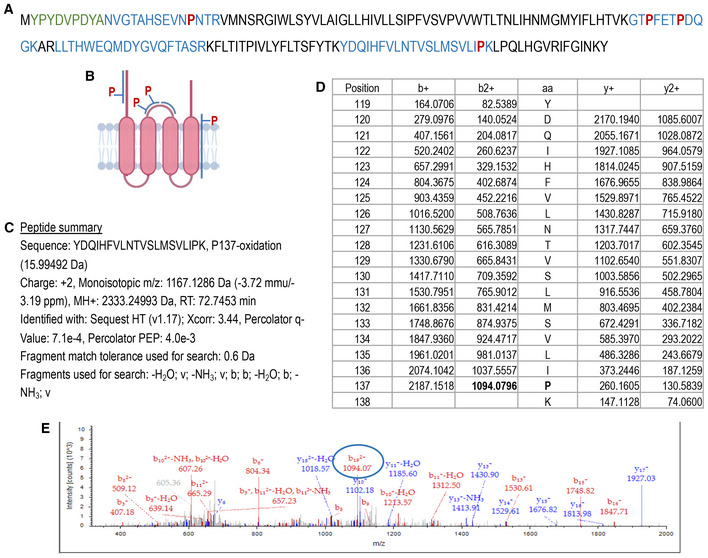 Figure EV3