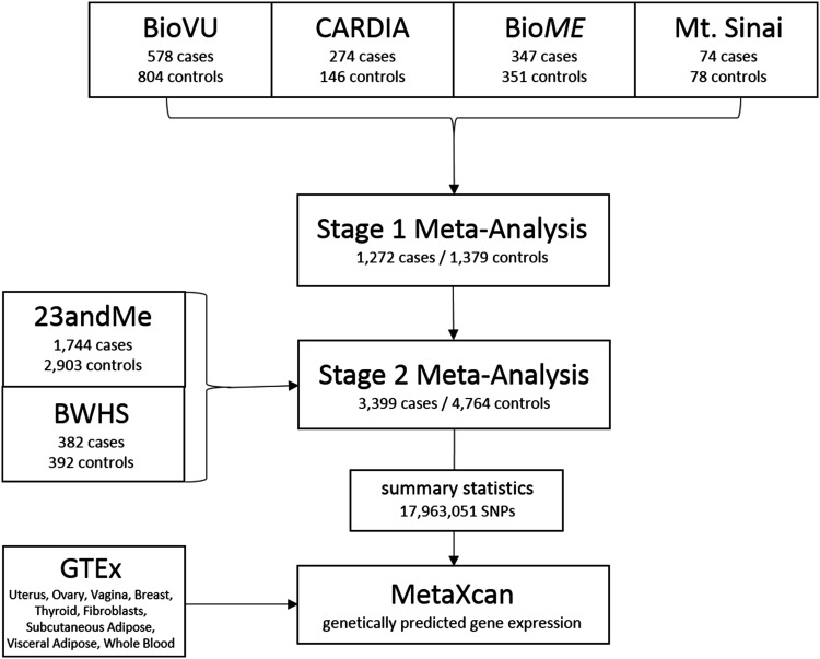 Fig. 1