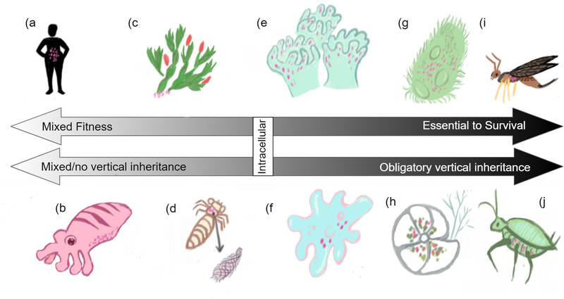 Figure 1: