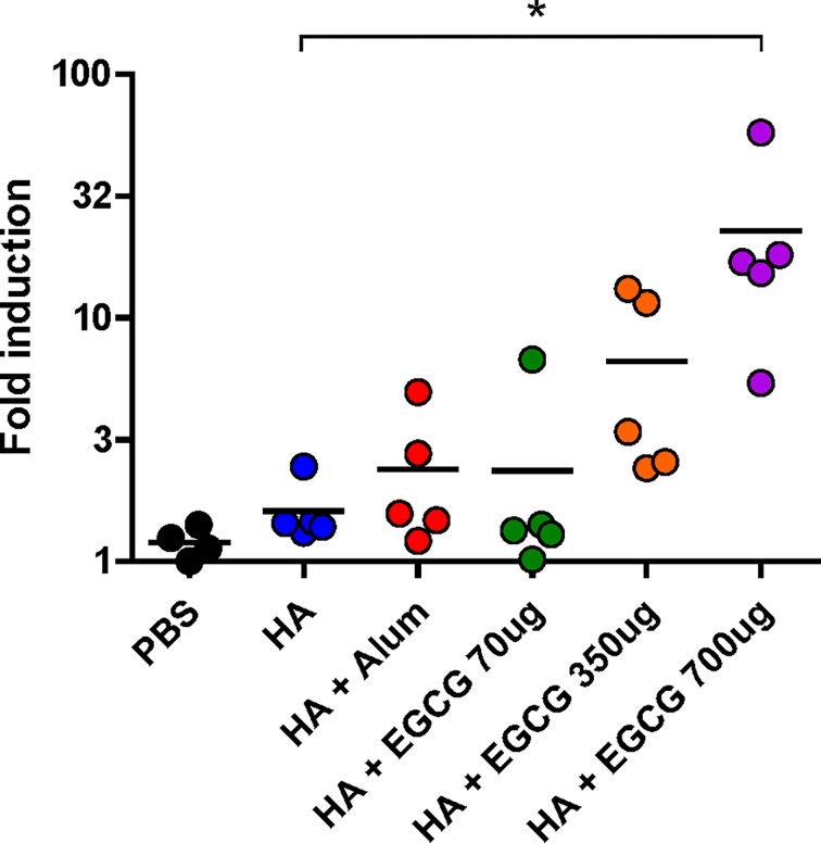 Figure 5