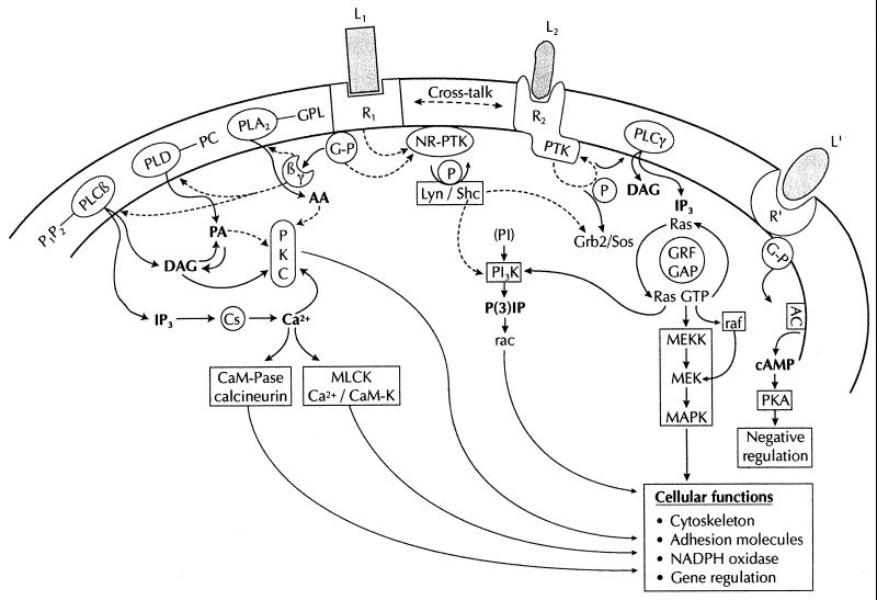 FIG. 3