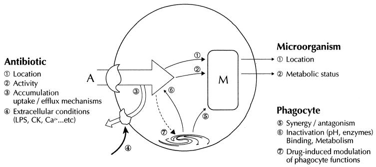 FIG. 6