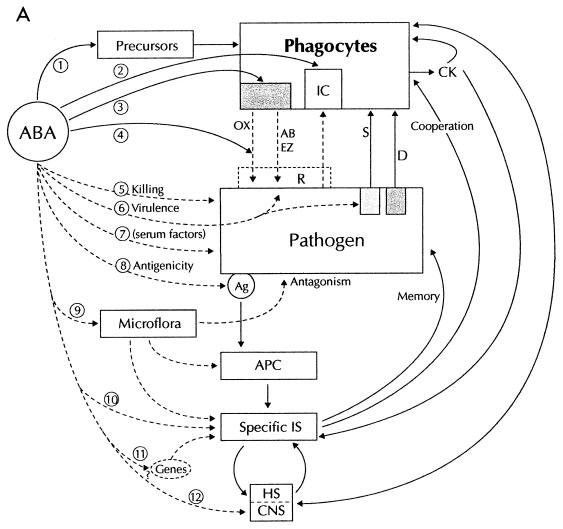 FIG. 5