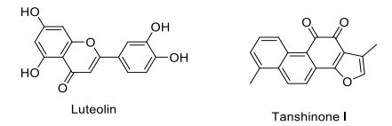 Fig. (11)