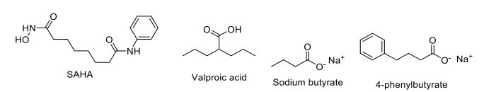 Fig. (10)