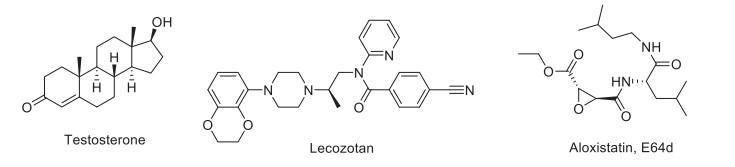 Fig. (13)