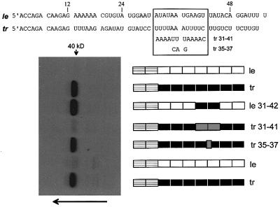 graphic file with name cdf513f3.jpg