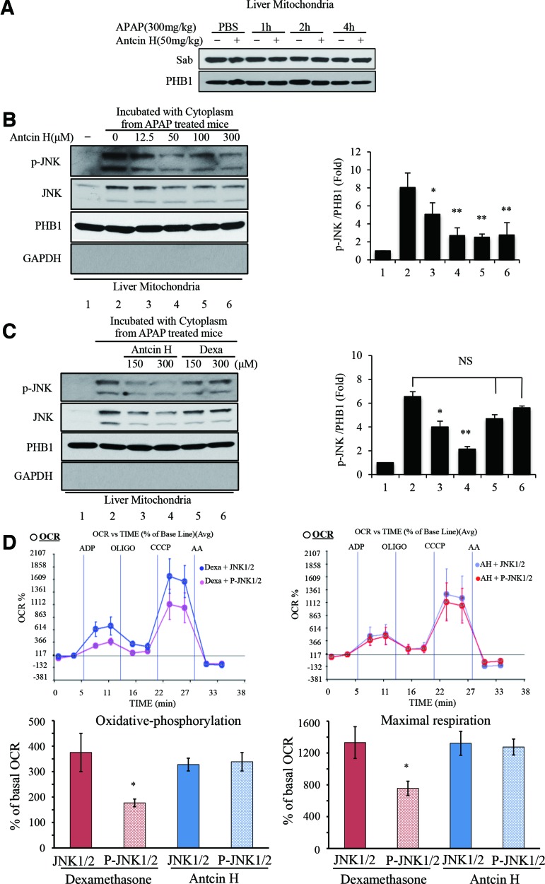 FIG. 8.