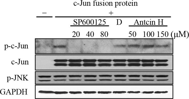 FIG. 5.