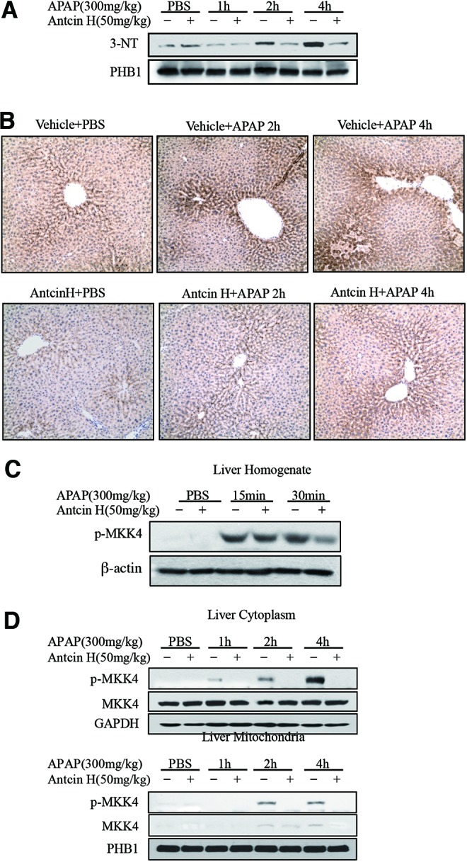 FIG. 7.