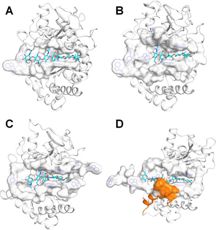 Figure 3.